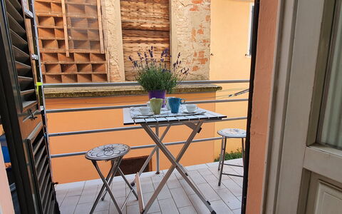 Lucida: Plante, Pot De Fleur, Plante D'Appartement, Fenêtre, Bois, Table, Design Intérieur, Sol, Sol, Bâtiment