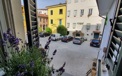 Lucida: Plante, Bâtiment, Fenêtre, Voiture, Roue, Fleur, Véhicule, Surface De La Route, Design Urbain