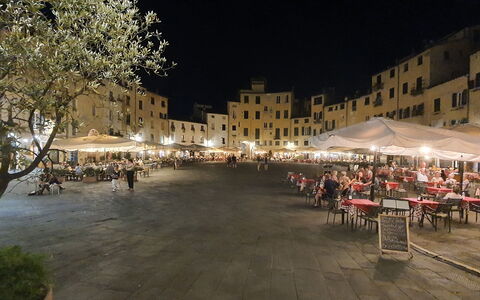Loft Lucca: Bâtiment, Tente, Plante, Loisir, Arbre, Ville, Zone Urbaine, Usage Mixte, Surface De La Route, Établissements Humains