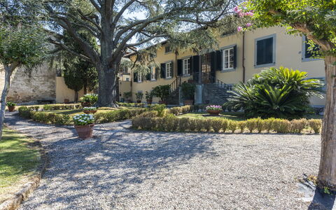 Villa San Gennaro: Plante, Bâtiment, Propriété, Fenêtre, Botanique, Arbre, Surface De La Route, Ciel, Végétation, Lot Terre