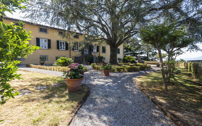 Villa San Gennaro: Plante, Bâtiment, Fenêtre, Arbre, Ciel, Surface De La Route, Lot Terre, Maison, Paysage, Herbe