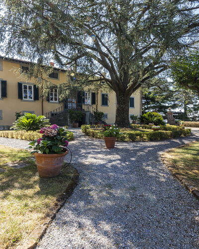 Villa San Gennaro: Plante, Bâtiment, Fenêtre, Arbre, Ciel, Surface De La Route, Lot Terre, Maison, Paysage, Herbe