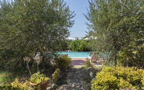 Villa Cevoli: Plante, L'Eau, Communauté Des Plantes, Ciel, Paysage Naturel, Arbre, Végétation, Arbuste, Herbe, Piscine