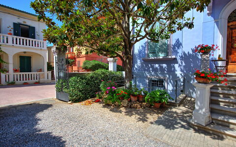 Casa Riva: Plante, Fleur, Bâtiment, Fenêtre, Propriété, Pot De Fleur, Bleu, Surface De La Route, Arbre, Plante D'Appartement