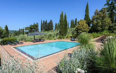 Villa Pancole: L'Eau, Plante, Ciel, Arbre, La Nature, Bleu Azur, Herbe, Piscine, Paysage Naturel, Loisir
