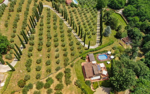 La Quiete: Plante, Propriété, Paysage Naturel, Lot Terre, Arbre, Design Urbain, Bâtiment, Herbe, Zone Rurale, Loisir