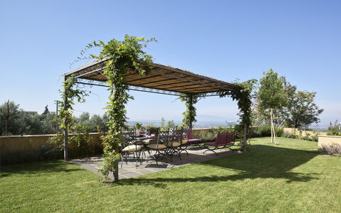Casa Lionardo: Lot Terre, Jardin, Ombre, Mobilier De Jardin, Couverture De Sol, Pergola, Structure En Plein Air, Aménagement Paysager, Pot De Fleur
