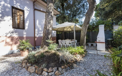 Villa Marconi: Plante, Propriété, Bâtiment, Surface De La Route, Arbre, Ombre, Zone Résidentielle, Immobilier, Couverture De Sol, Paysage