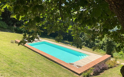 San Tommaso: Plante, Piscine, L'Eau, Rectangle, Ombre, Herbe, Loisir, Arbuste, Paysage, Couverture De Sol