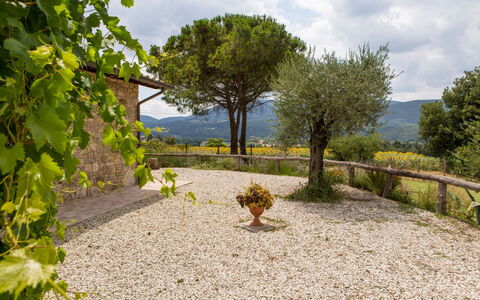 Villa Tavernacce: Ciel, Nuage, Plante, Communauté Des Plantes, Arbre, Paysage Naturel, Surface De La Route, Lot Terre, Herbe, Arbuste