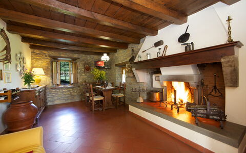 Villa Renaccio: Bâtiment, Bois, Plante, Design Intérieur, Salon, Canapé, Plante D'Appartement, Sol, Faisceau, Pot De Fleur