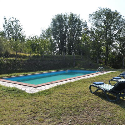 Villa Antelminelli: Plante, Ciel, Piscine, Arbre, Ombre, Mobilier De Jardin, Extérieur Banc, Rectangle, Loisir, Herbe