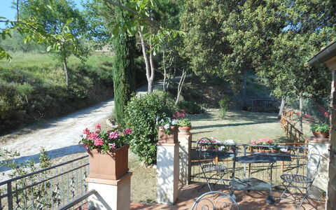 Casa Mulinello: Plante, Fleur, Arbre, Pot De Fleur, Mobilier De Jardin, Ombre, Plante D'Appartement, Herbe, Tableau De Plein Air, Loisir