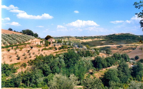 Casa Banditello: Ciel, Nuage, Plante, Propriété, Communauté Des Plantes, Écorégion, Paysage Naturel, Environnement Naturel, Arbre, Lot Terre