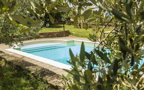 Orangerie Degli Ulivi: L'Eau, Ressources En Eau, Plante, La Nature, Bleu Azur, Piscine, Botanique, Paysage Naturel, Végétation, Herbe