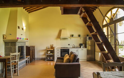 Orangerie Degli Ulivi: Propriété, Canapé, Bois, Salon, Design Intérieur, Sol, Sol, Bibliothèque, Faisceau, Bâtiment