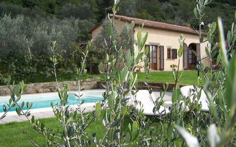 Orangerie Degli Ulivi: Plante, Propriété, Fenêtre, Communauté Des Plantes, Bâtiment, La Nature, L'Eau, Maison, Végétation, Lot Terre