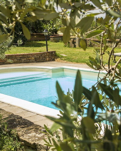 Orangerie Degli Ulivi: L'Eau, Ressources En Eau, Plante, La Nature, Bleu Azur, Piscine, Botanique, Paysage Naturel, Végétation, Herbe