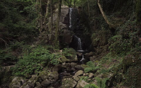 Villa In Garfagnana: Plante, L'Eau, Communauté Des Plantes, Paysage Naturel, Cascade, Cours D'Eau, Printemps, Terrestre Des Plantes, Substrat Rocheux