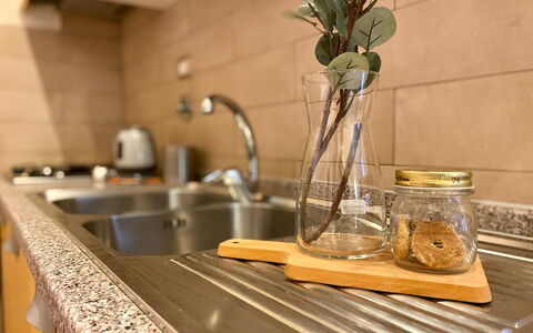 Vintage Apartment in Florence: Evier, Évier, Plante, Comptoir, Robinet, Bois, Design Intérieur, Luminaire Plomberie, Cuisine, Brindille