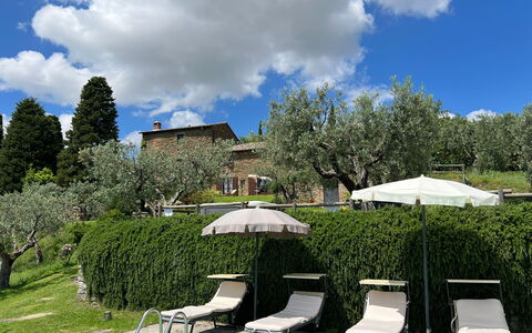 Villa Patrizia: Nuage, Plante, Ciel, Communauté Des Plantes, Parapluie, La Nature, Arbre, Paysage Naturel, Ombre, Végétation