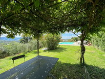 Garden and outdoor view