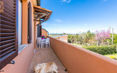 Logement:&nbsp;Gino 650.2