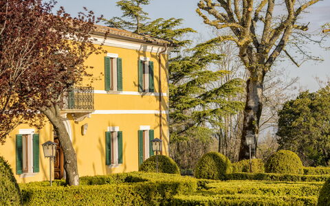 Villa Pianoia: Plante, Ciel, Propriété, Bâtiment, Fenêtre, Arbre, Branche, Végétation, Lumière Du Soleil, Jaune