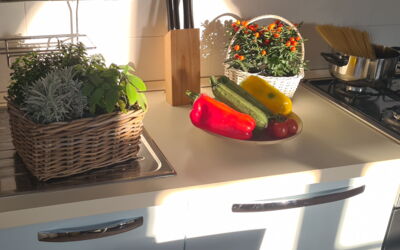 Logement:&nbsp;Paradiso Deluxe