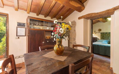 Logement:&nbsp;Olinto 250.1