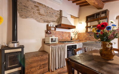 Logement:&nbsp;Olinto 250.1