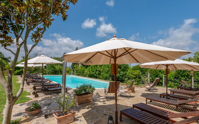 Logement:&nbsp;Olinto 250.1