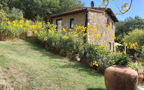 Casa Bosco D'arte Holiday Home , Greve In Chianti,: Fleur, Plante, Bâtiment, Communauté Des Plantes, Fenêtre, Ciel, Paysage Naturel, Arbre, Maison, Lot Terre