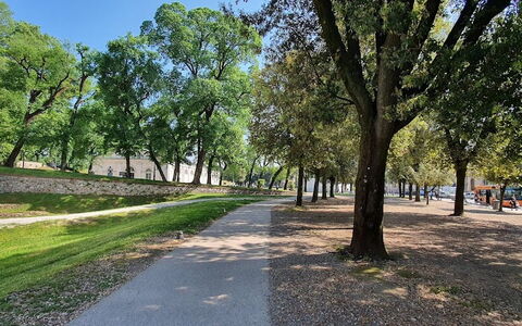 Residenza Otello: Plante, Ciel, Arbre, Surface De La Route, Ombre, Paysage Naturel, Rue, Herbe, Paysage, Asphalte