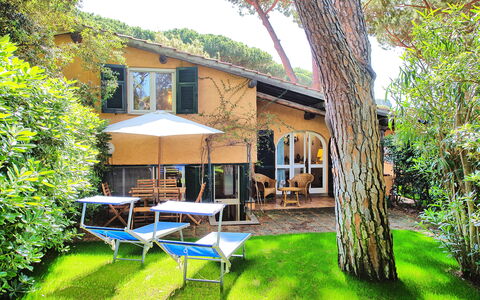 Le Dune: Plante, Propriété, Bâtiment, Fenêtre, Arbre, Ciel, Ombre, Chaise, Mobilier De Jardin, Parapluie