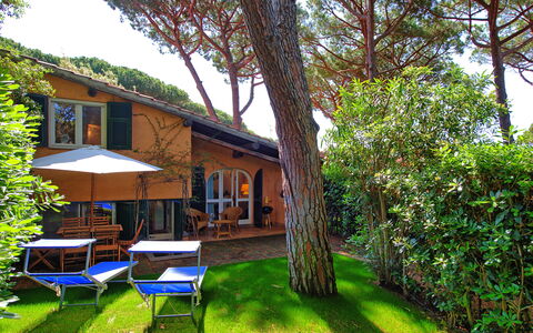 Le Dune: Plante, Ciel, Bâtiment, La Nature, Arbre, Paysage Naturel, Mobilier De Jardin, Herbe, Ombre, Table