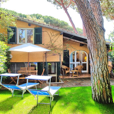 Le Dune: Plante, Propriété, Bâtiment, Fenêtre, Arbre, Ciel, Ombre, Chaise, Mobilier De Jardin, Parapluie