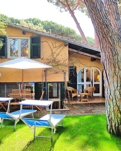 Le Dune: Plante, Propriété, Bâtiment, Fenêtre, Arbre, Ciel, Ombre, Chaise, Mobilier De Jardin, Parapluie