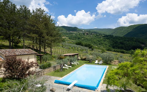 Villa Olivi - Subbiano, Toscana, Pool And Nature: Plante, L'Eau, Nuage, Ciel, Propriété, Piscine, Bleu Azur, Arbre, Paysage Naturel, Montagne