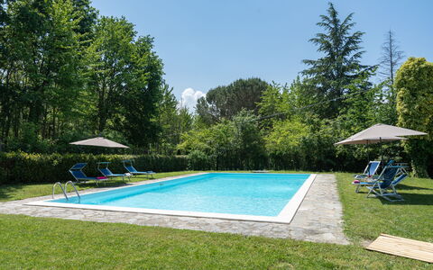 Villa Le Selve: Plante, Propriété, Ciel, L'Eau, Piscine, Ombre, Arbre, Bâtiment, Lot Terre, Herbe