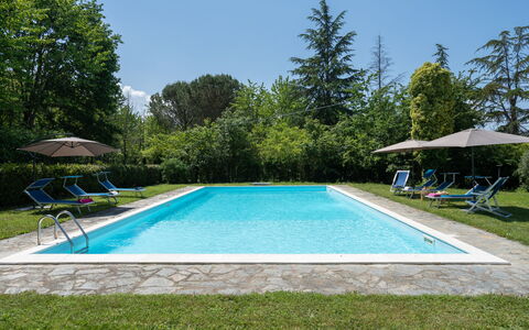 Villa Le Selve: L'Eau, Plante, Piscine, Ciel, Rectangle, Ombre, Arbre, Herbe, Loisir, Immobilier