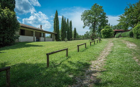 Borgo La Casina - Badia Agnano, Toscana: Nuage, Ciel, Plante, Propriété, Paysage Naturel, Arbre, Lot Terre, Lumière Du Soleil, Clôture, Paysage