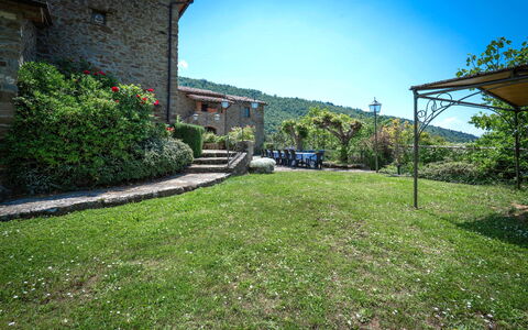 Colle Degli Ulivi - Cortona, Pool, Nature, Privacy: Plante, Ciel, Propriété, Bâtiment, Feuille, Lot Terre, Végétation, Paysage Naturel, Biome, Herbe