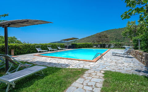 Colle Degli Ulivi - Cortona, Pool, Nature, Privacy: L'Eau, Ciel, Plante, Piscine, Parapluie, Mobilier De Jardin, Bâtiment, Ombre, Rectangle, Arbre