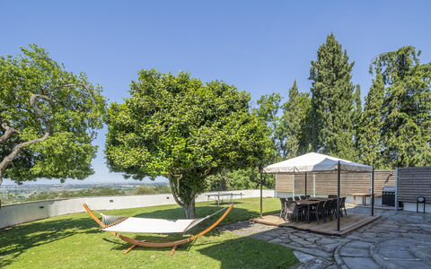 Massarosa Front Lake, The Gargoyles: Arbre, Jardin, Lot Terre, Meubles, Ombre, Mobilier De Jardin, Pelouse, Aménagement Paysager, Chaise, Cour