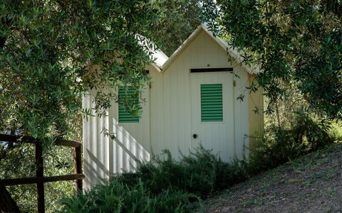 Luxury Green Marignana Villa, Versilia, Pool, Ac,: Plante, Environnement Naturel, Bois, Bâtiment, Arbre, Porte, Herbe, Suppression Des Plantes Ligneuses, Paysage Naturel, Zone Rurale