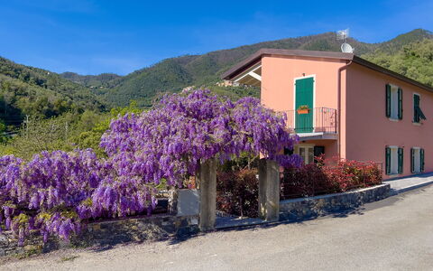 La Casa Dei Glicini - Levanto: Fleur, Plante, Ciel, Bâtiment, Fenêtre, Bleu, Bleu Azur, Montagne, Violet, Maison