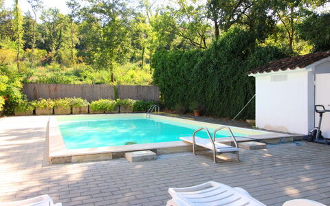 Pupa House: Plante, Propriété, Piscine, L'Eau, Ombre, Arbre, Mobilier De Jardin, Bâtiment, Sol, Sol