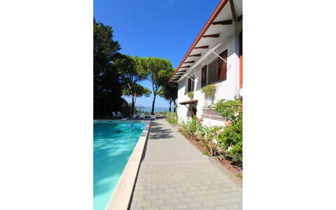 Pupa House: Plante, Bâtiment, Propriété, Ciel, L'Eau, Architecture, Fenêtre, Ombre, Arbre, Maison