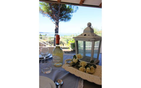 Pupa House: Ombre, Ciel, Arbre, Bois, Loisir, Bâtiment, Paysage, Porche, Chalet, Toit